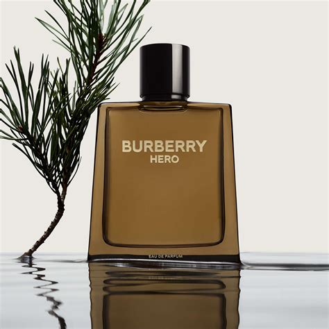 mr burberry eau de parfum douglas|perfume mr Burberry original.